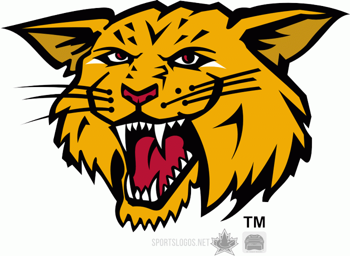 moncton wildcats 2003-2009 alternate logo iron on heat transfer